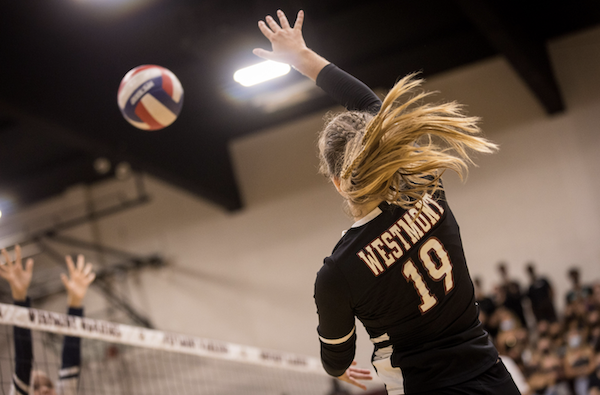 volleyball legacy club